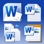 Microsoft Word 2010D(bio)